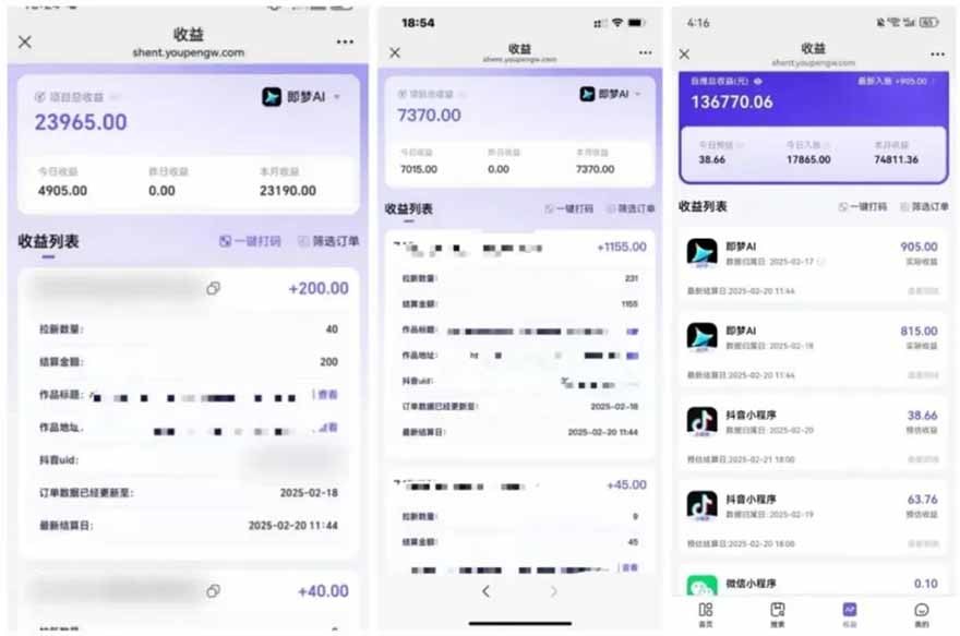 项目截图
