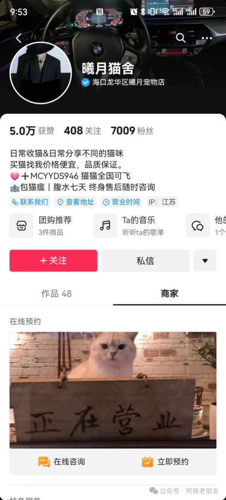 抖音猫猫视频素材对标