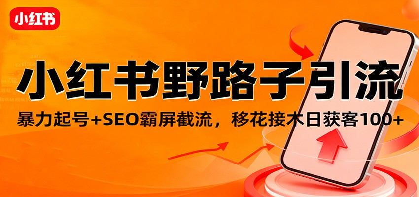 小红书虚拟电商野路子获客,暴力起号、SEO霸屏截流,聚光低成本日获客100+ - 缩略图