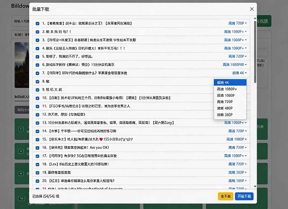 Bilidown 界面截图
