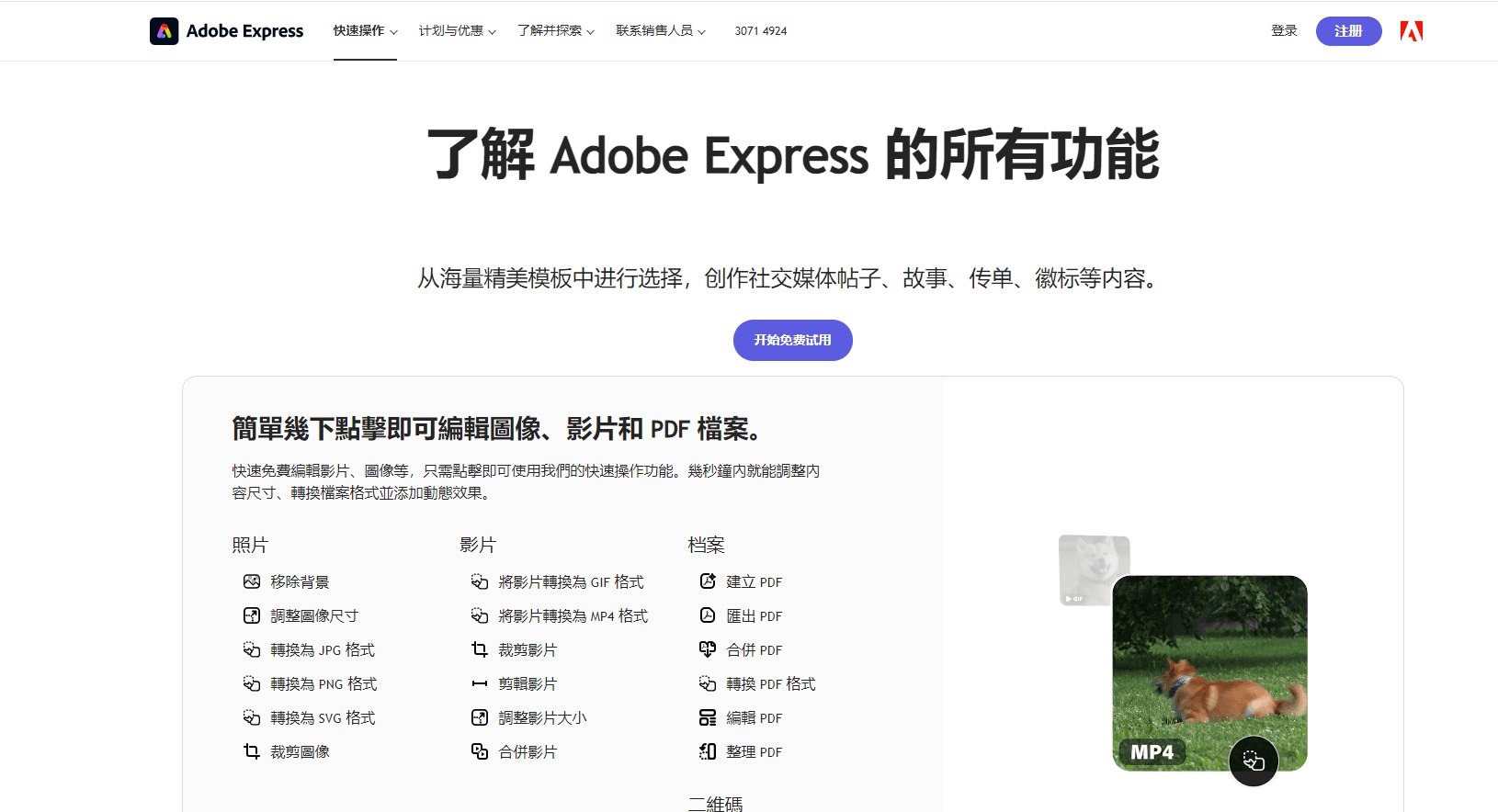 Adobe Express 动画制作界面