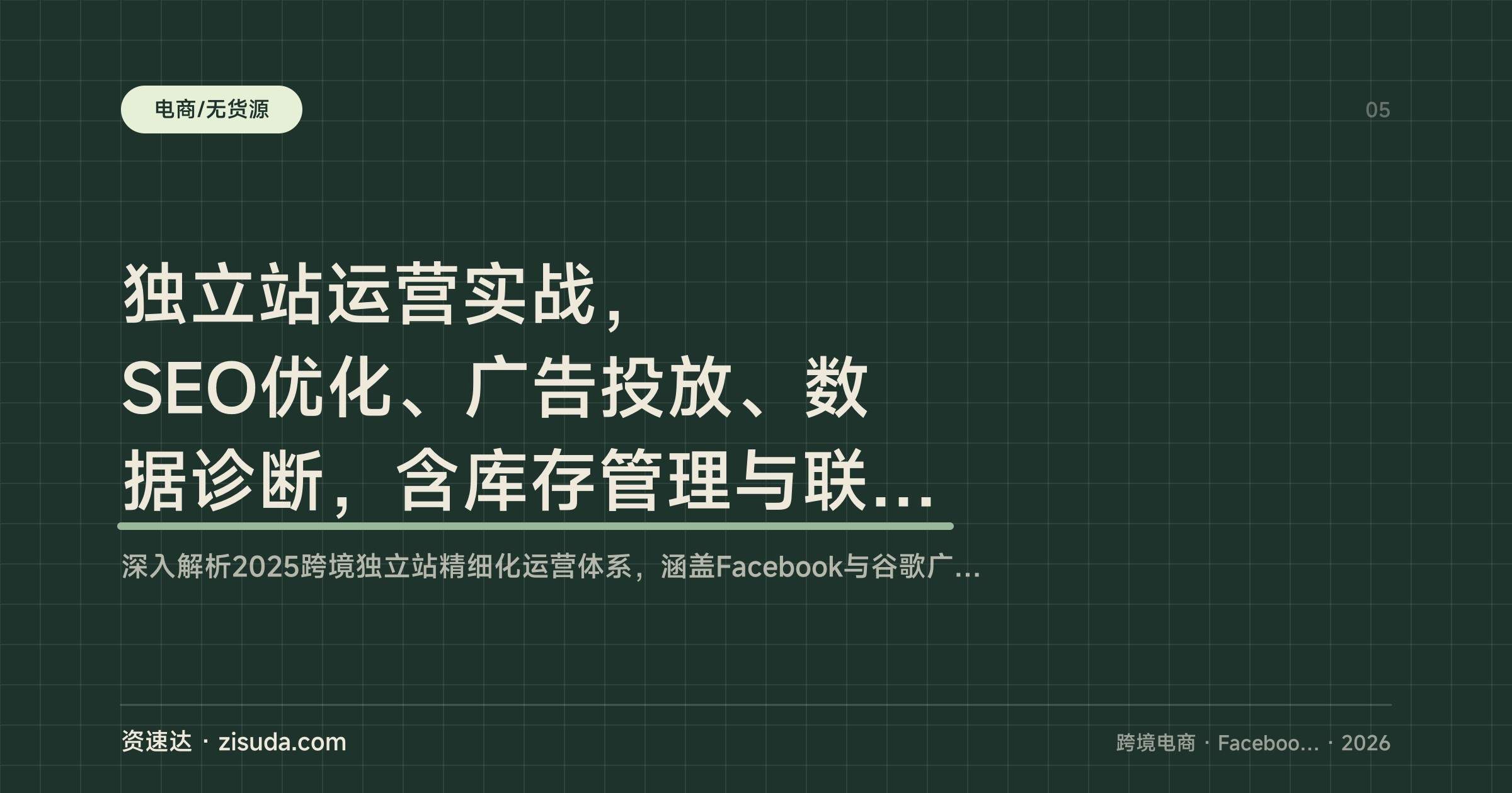 独立站运营实战，SEO优化、广告投放、数据诊断，含库存管理与联盟营销 - 缩略图