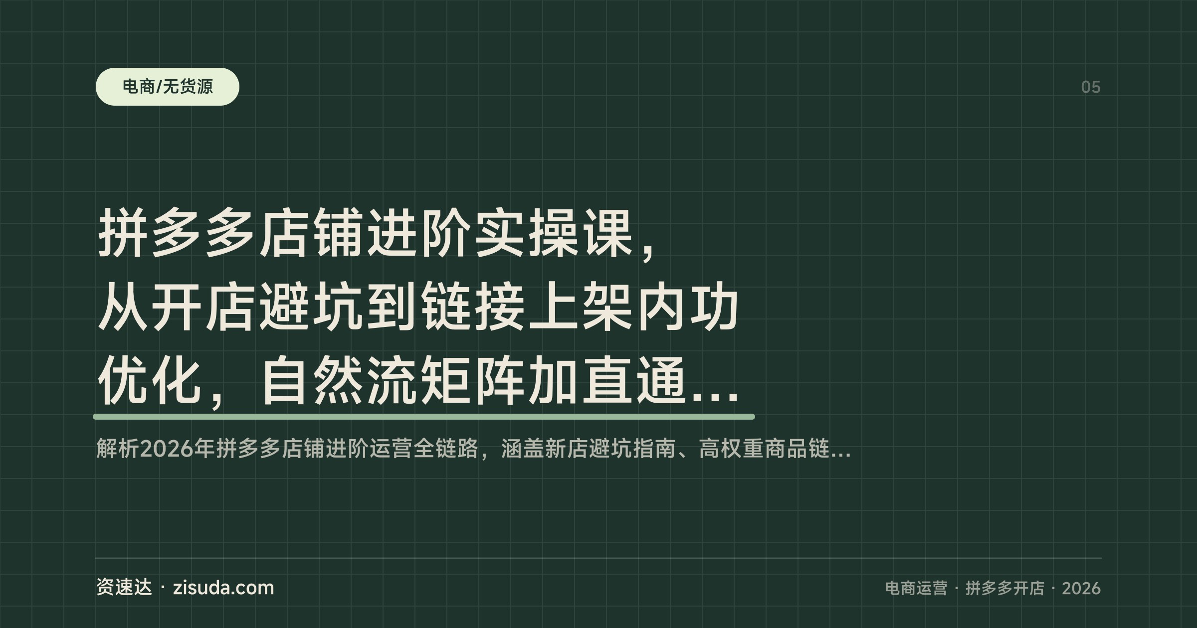 拼多多店铺进阶实操课，从开店避坑到链接上架内功优化，自然流矩阵加直通车付费起品 - 缩略图