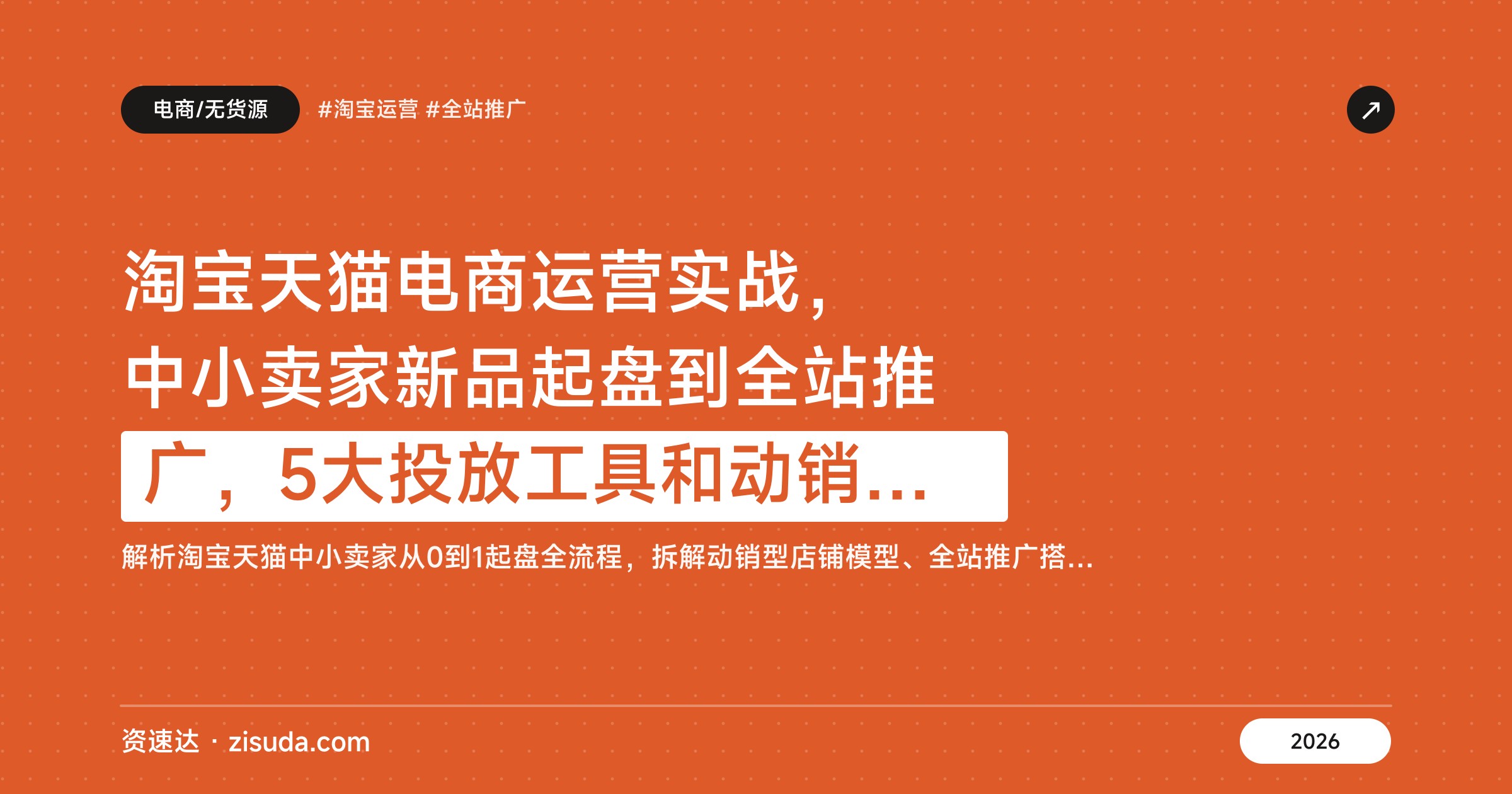 淘宝天猫电商运营实战，中小卖家新品起盘到全站推广，5大投放工具和动销型店铺模型 - 缩略图