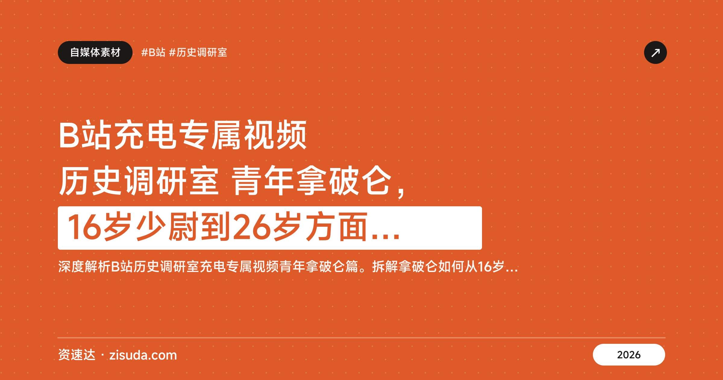 B站充电专属视频 历史调研室 青年拿破仑，16岁少尉到26岁方面军总司令 - 缩略图